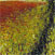 Rory Browne - Poppy path