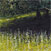 Rory Browne - Purple thistles. Sunny Bank