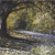 Rory Browne - Path under the Oak