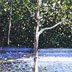 Rory Browne - Bluebells Again
