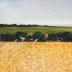 Rory Browne - Cornfield