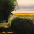 Rory Browne - Into the light. Isaiah 2:5