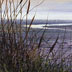 Rory Browne - Footprints in the sand. Evening beach