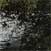 Rory Browne -  